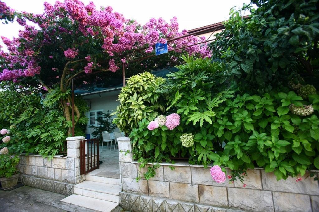Apartments Indira Lovište Cameră foto